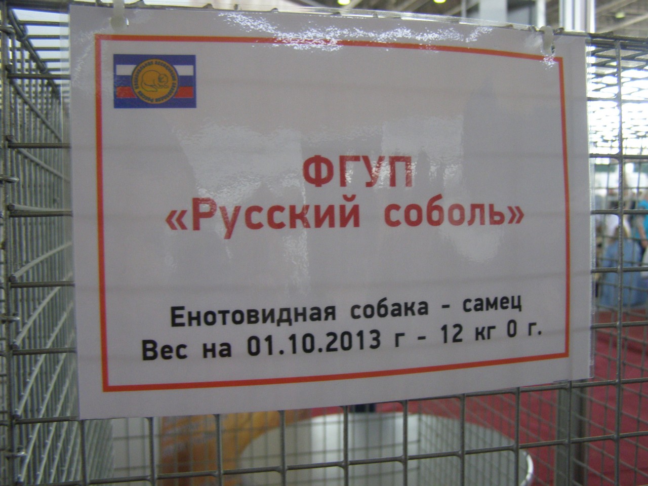 Прогулки по Москве. Сельскохозяйственная выставка. Прогулки по Москве. Сельскохозяйственная выставка.