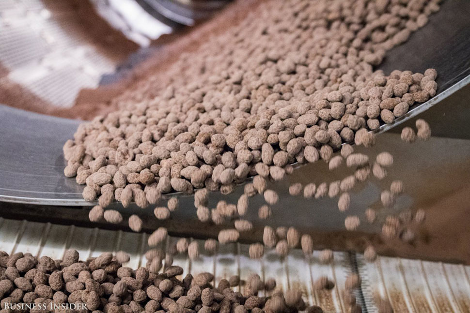 На фабрике M&M’s: как производят конфеты, которые тают во рту, а не в руках