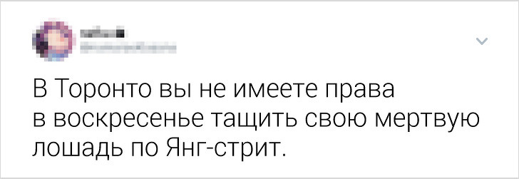 Жители разных стран рассказали, какие нелепые законы действуют у них (А мы постарались их объяснить)