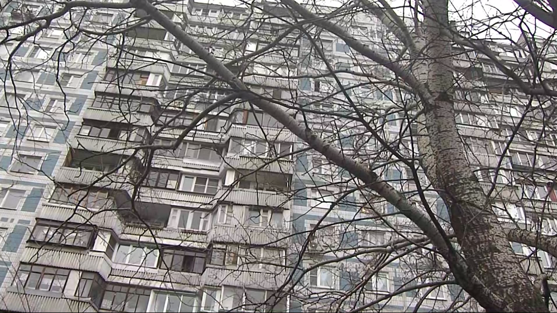 https://360tv.ru/media/uploads/article_images/2019/11/52631_QIP_Shot_-_Screen_378.png