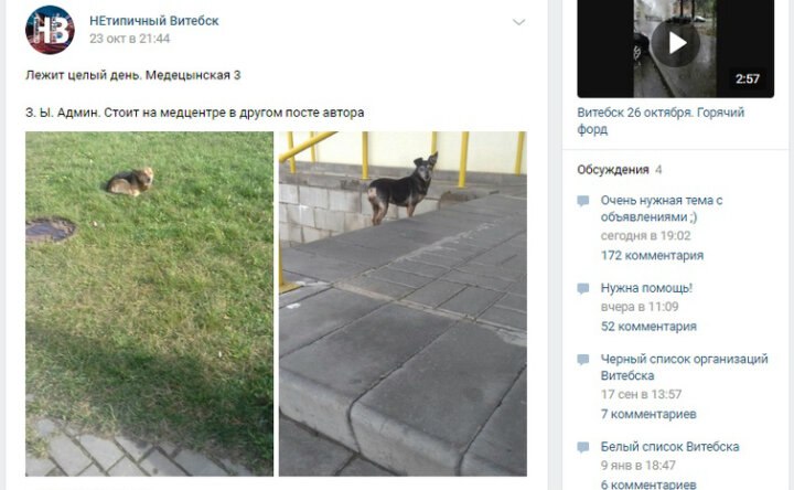 Хозяйка нашла собаку, пропавшую несколько лет назад