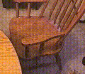 GIF-доказательство, что коты - чертовски весёлые ребята GIF коты юмор