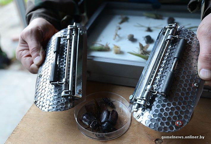 механизм, насекомые, мастер