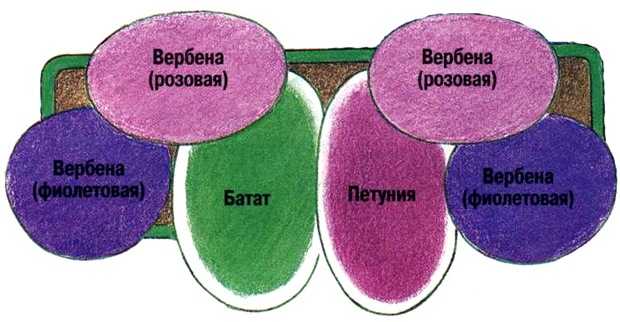 shema2 (620x322, 75Kb)