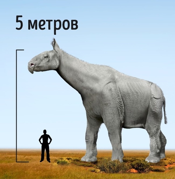 Мир после динозавров Интересное, познавательно, наука, кайнозой, постапокалипсис, млекопитающие, прошлое, палеонтология, длиннопост