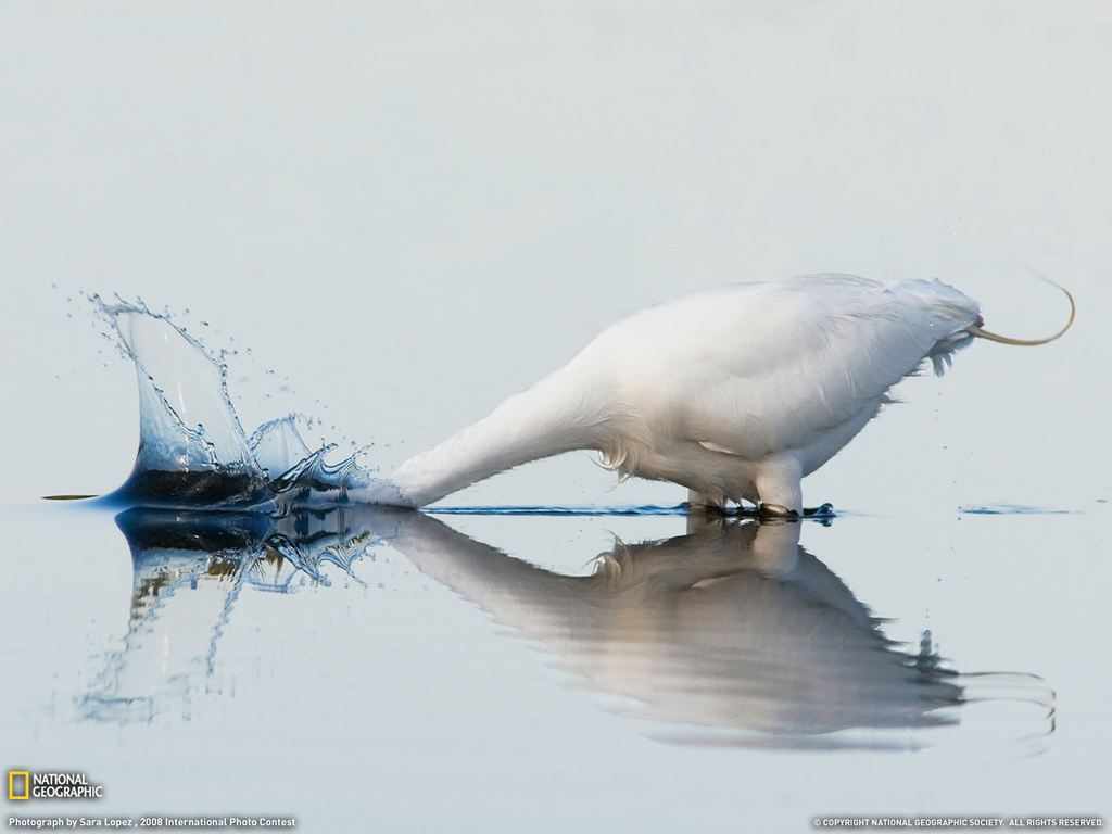    National Geographic