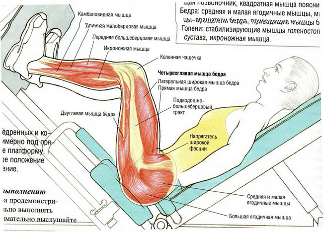 Как подкачать мышцы в домашних условиях для мужчин Как подкачать мышцы в домашних условиях для мужчин
