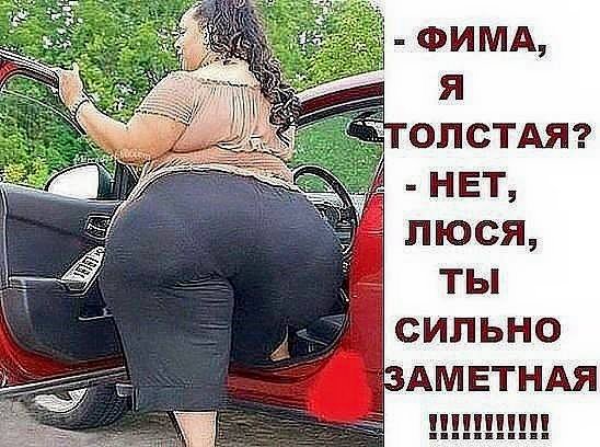 Царевна-лягушка скачет по болоту, а в боку стрела торчит... Царевна-лягушка скачет по болоту, а в боку стрела торчит...