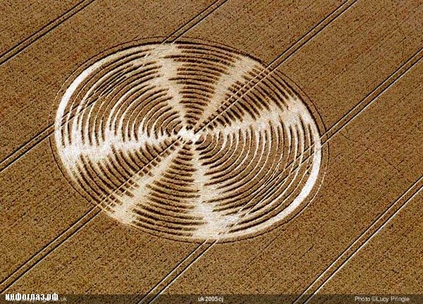 Загадочные круги на полях – 60 интересных фотографий
