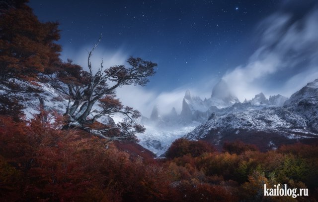 Естественная красота (55 фото)