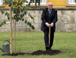 Зелёный гакенкройц меченого. Пора ставить крест на зеленом кресте