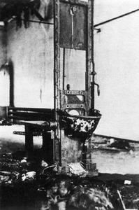 Viki_2 (199x300, 23Kb)