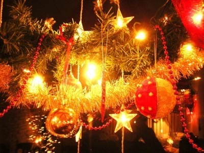 tree2