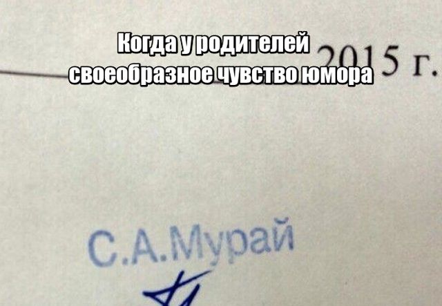 Подборка картинок Подборка картинок