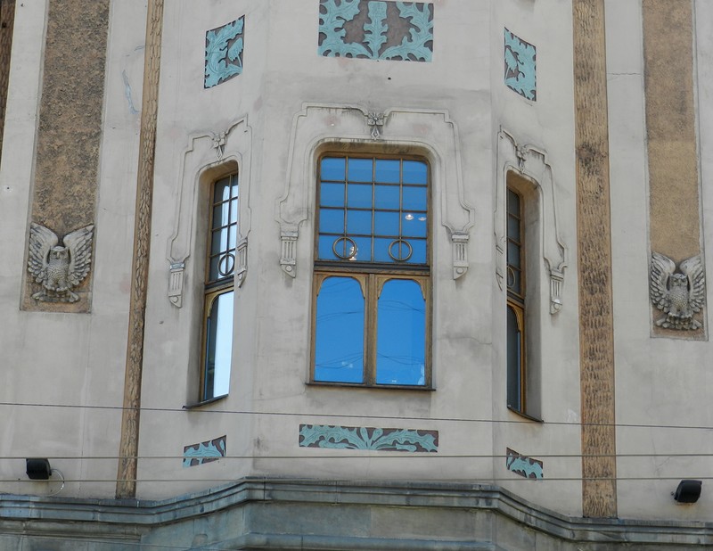 Совы Петербурга Совы Петербурга