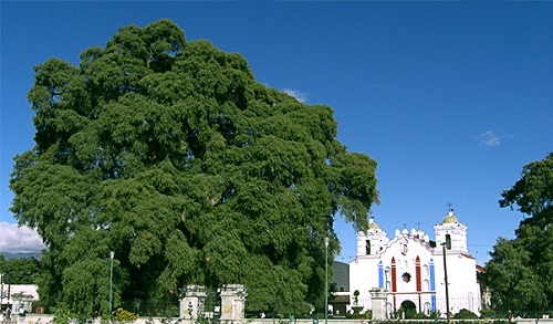 Туле в Мексике