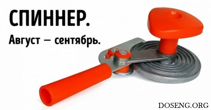 Прикольные картинки Прикольные картинки