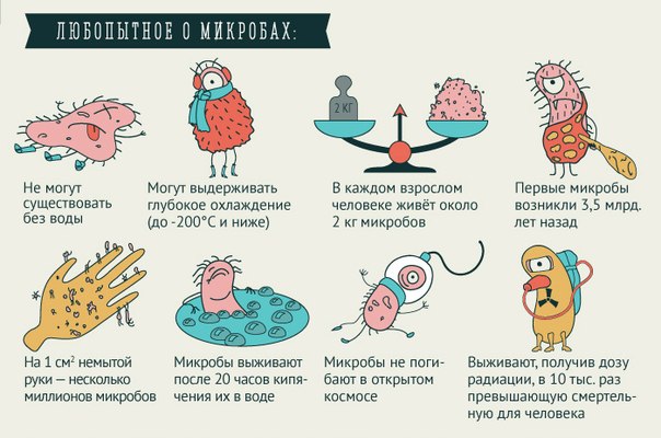 Стих при микроб Стих при микроб