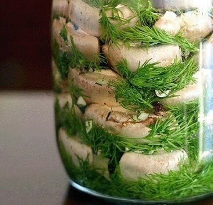 МАЛОСОЛЬНЫЕ ШАМПИНЬОНЫ на скорую руку — мировой рецептик! МАЛОСОЛЬНЫЕ ШАМПИНЬОНЫ на скорую руку — мировой рецептик!