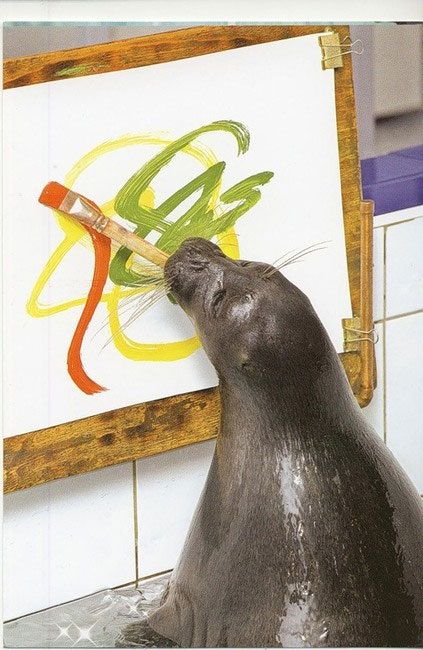 Шоу байкальских нерп Байкальская нерпа – самый известный обитатель Байкала, потрясающие создания!