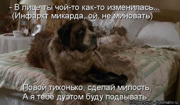 Лучшие котоматрицы, которые зарядят вас позитивом) Лучшие котоматрицы, которые зарядят вас позитивом)