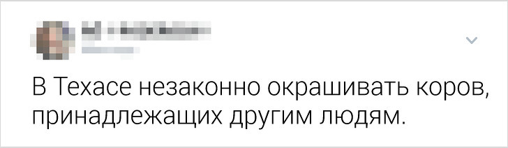 Жители разных стран рассказали, какие нелепые законы действуют у них (А мы постарались их объяснить)