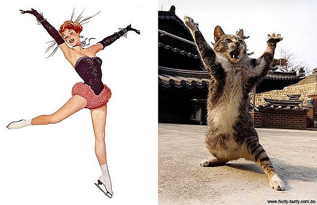 15 кошек, позирующих в стиле красоток Pin Up