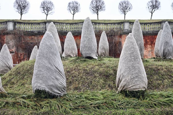 https://pistoncars.com/wp-content/uploads/2017/12/Plant-Covering-Ideas-for-Winter-to-Protect-Your-Plants-16.jpg