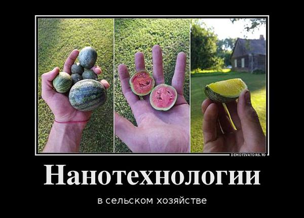 А тем временем во френдзоне… Свежие ржачно-оборжачные демотиваторы А тем временем во френдзоне… Свежие ржачно-оборжачные демотиваторы