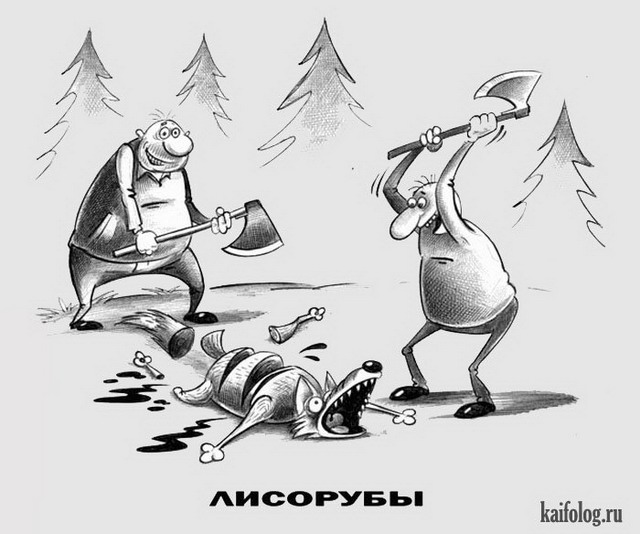 Картинки и карикатуры (45 карикатур) Картинки и карикатуры (45 карикатур)