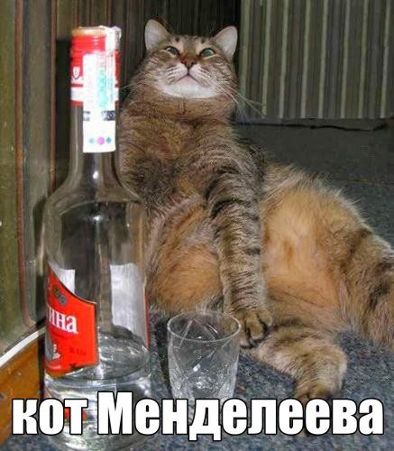 Коты ученых кот, ученые