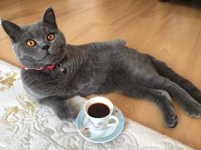 Подборка прикольных фото (100 фото)