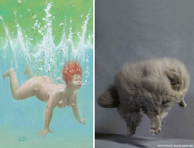 15 кошек, позирующих в стиле красоток Pin Up