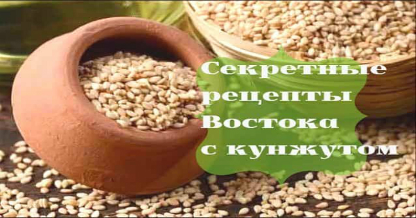 3-serkta-kunzhuta