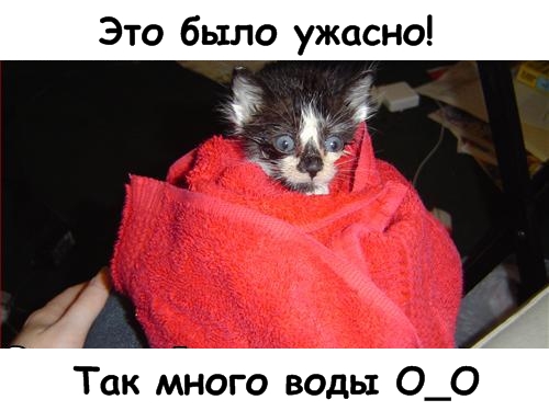 Давайте улыбаться вместе! :) (29 улыбок)
