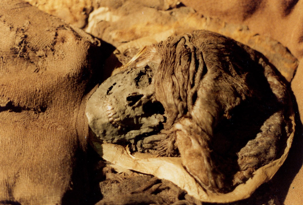 mummies07 13 самых жутких мумий мира