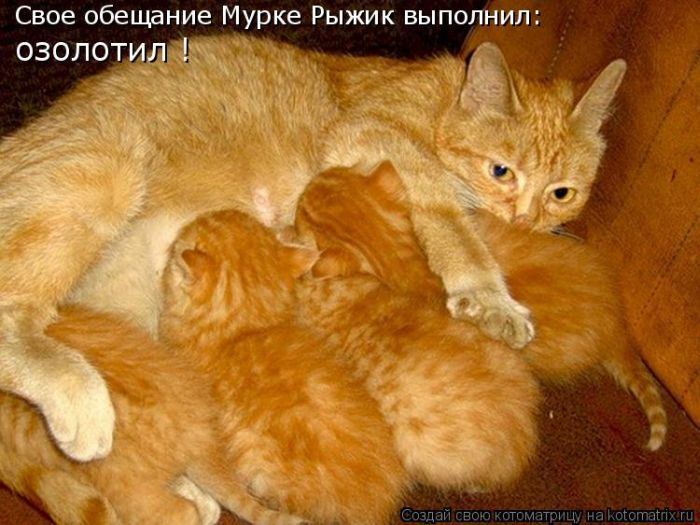 Мысли вслух :)
