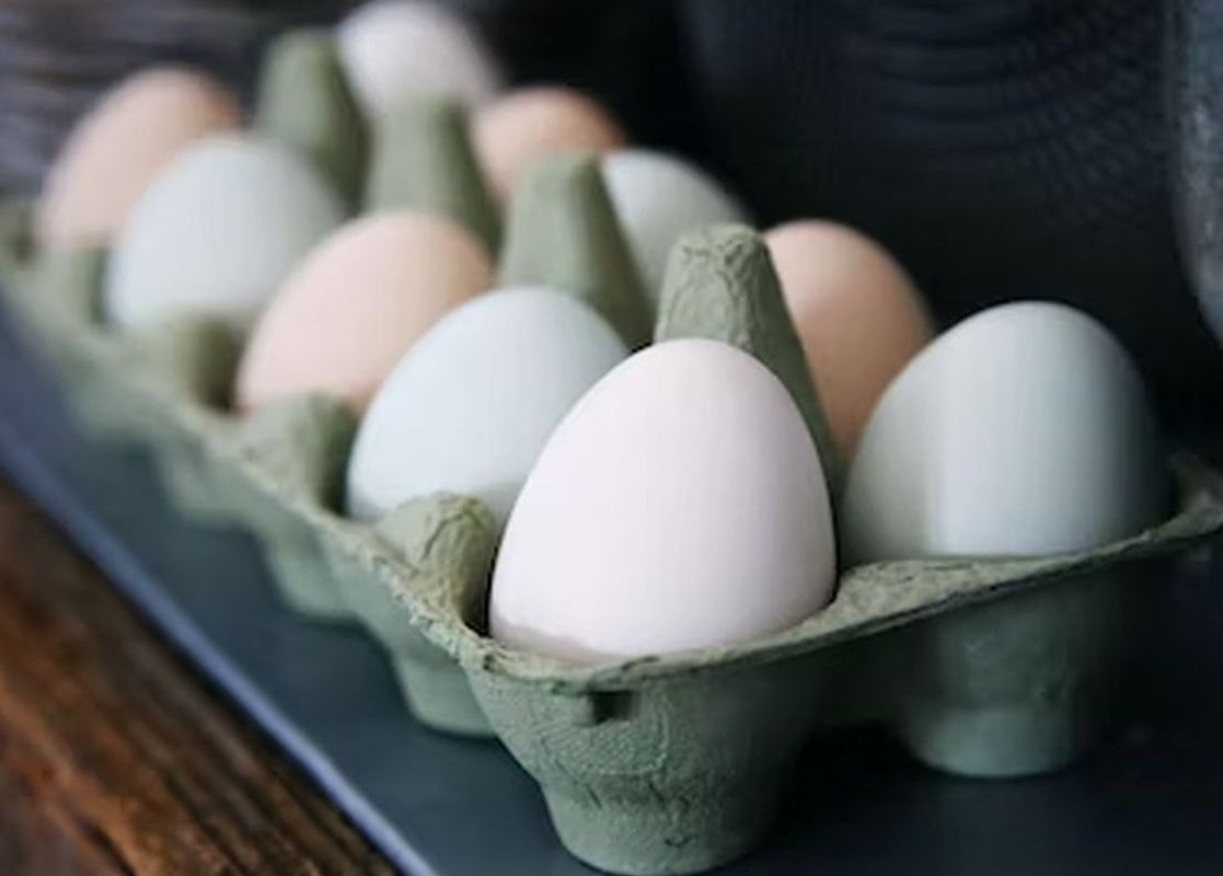 Врач Лебедева назвала куриные яйца в числе суперпродуктов для здоровья мозга