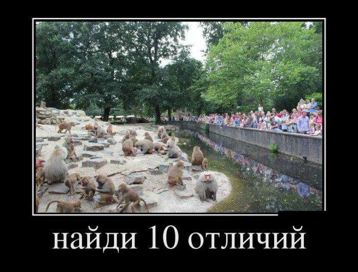 Веселые демотиваторы на воскресенье (11 фото) Веселые демотиваторы на воскресенье (11 фото)