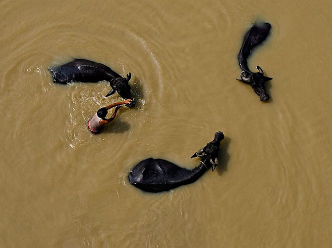 National Geographic:   
