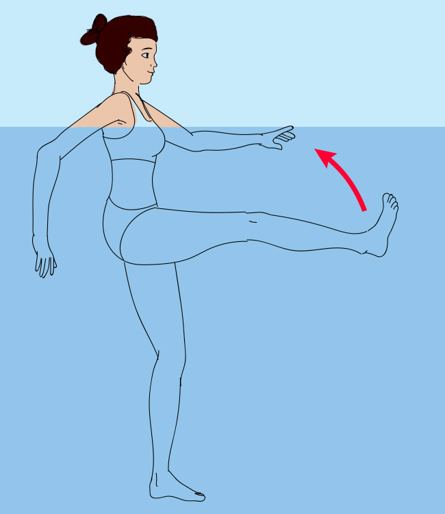 ������������ ������