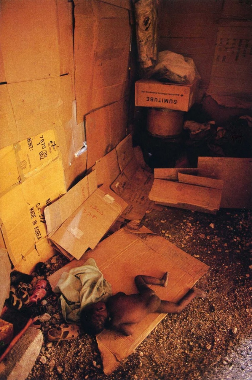 fotografii National Geographic 25