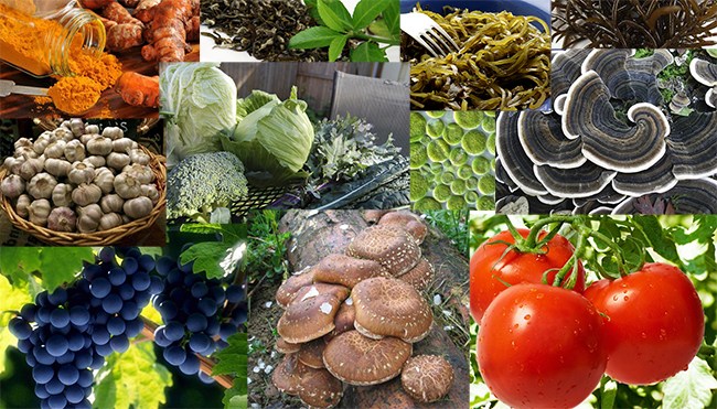 https://i0.wp.com/yulivanchey.com/wordpress/wp-content/uploads/2015/10/9-cancer-killing-products_.jpg