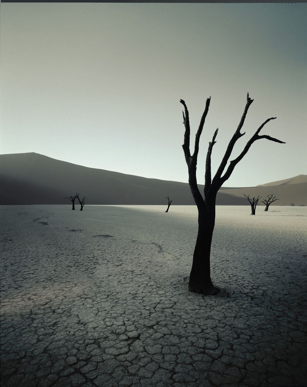 Джимми Нельсон. Проект «Пока они не исчезли». Намибия. Народность Химба