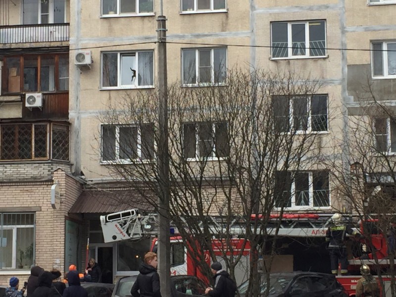 В Петербурге пожарные спасли кота, застрявшего в окне многоэтажки В Петербурге пожарные спасли кота, застрявшего в окне многоэтажки