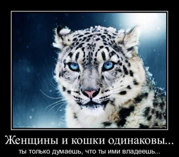 8 марта, поздравление