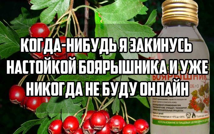 Убойные заряды юмора на всю праздничную неделю Убойные заряды юмора на всю праздничную неделю
