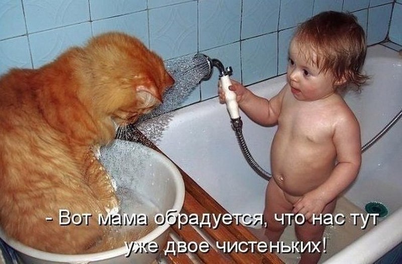ПЕРЛЫ ДЕТЕЙ И ИХ РОДИТЕЛЕЙ. ПЕРЛЫ ДЕТЕЙ И ИХ РОДИТЕЛЕЙ.
