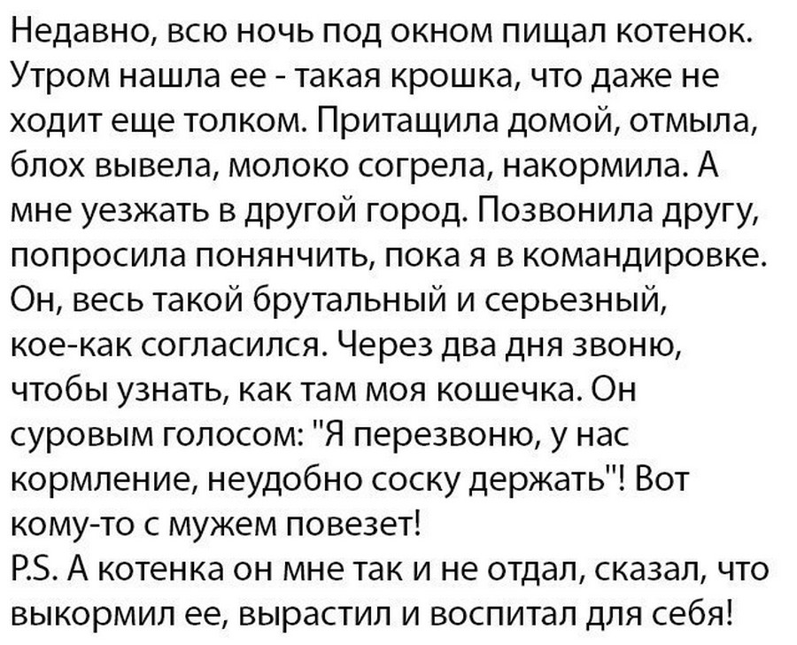 "А котенка он мне так и не отдал"