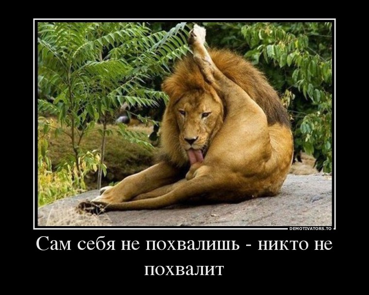 http://mtdata.ru/u4/photoF575/20526312936-0/original.jpg#20526312936